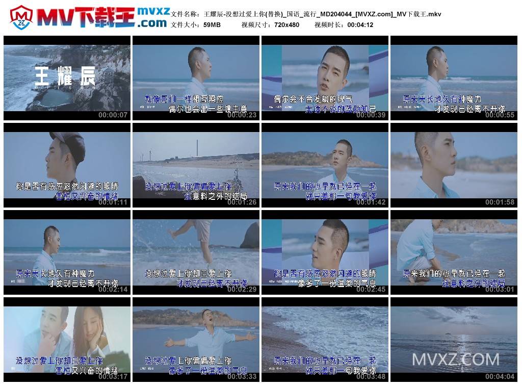 王耀辰-没想过爱上你(替换)_国语_流行_MD204044